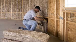 Best Blown-In Insulation  in Lake Helen, FL